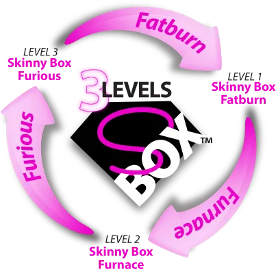 3 Levels Wheel 3 Levels of Fatburn wheel image